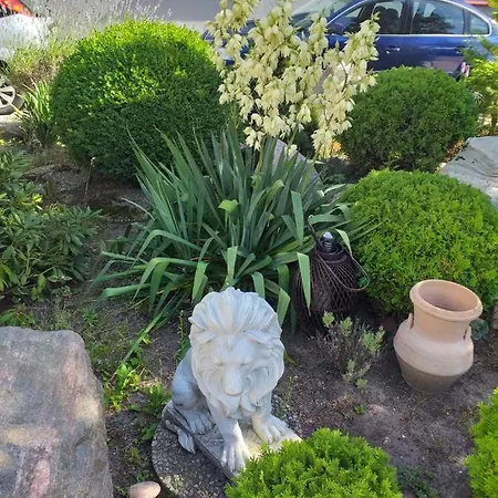 Goscinne Simon * Mielno (Koszalin)