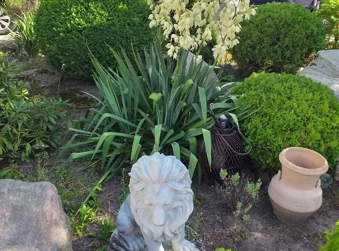 Goscinne Simon * Mielno